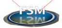 FSM logo, representing a company specializing in advanced metrology and inspection systems for the semiconductor industry, providing innovative solutions for wafer and thin film measurement. As one of our suppliers, this brand proudly provides Quasi-S with innovative solutions for research, development, production, and quality assurance.